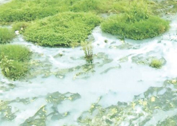 岳陽(yáng)河黑臭治理案例