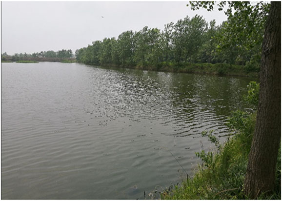 天長(zhǎng)市楊村鎮(zhèn)船塘水域水體黑臭治理工程